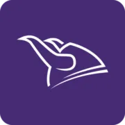 Yrityksen Viking Partners logo