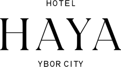 Logo firmy Hotel Haya