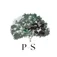 Logo for Parent-sorensen Mortuary