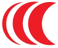 Silvia Leones Real Estate logo