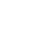 New Star Realty logosu