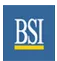 Bigwood Systems Inc logo