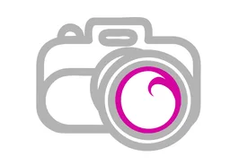 Rapid Image Photography LLC logo