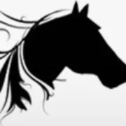 Logo firmy Cleveland Equine Clinic