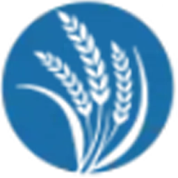 Provident Financial Planning logo