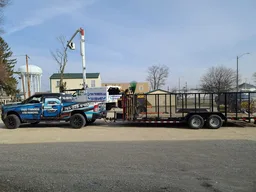 Dg Tree Trimming And Removal logo