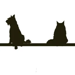Animal Hospital North logo