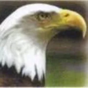 شعار Eagle Cleaning Concepts