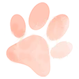 Logo firmy Doggie Divine Pet Salon