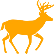 Logótipo de Petersen's Wildlife Management