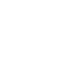 Logo for Detroit Design Co.