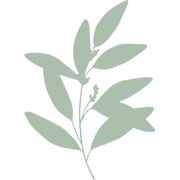 Salon Sage logo