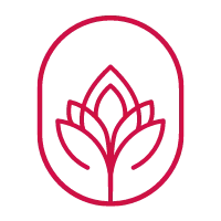 Studio 41 Events logo