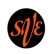Salon V Experience logo