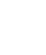 Robin Lewis logo