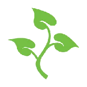 North Ivy logo